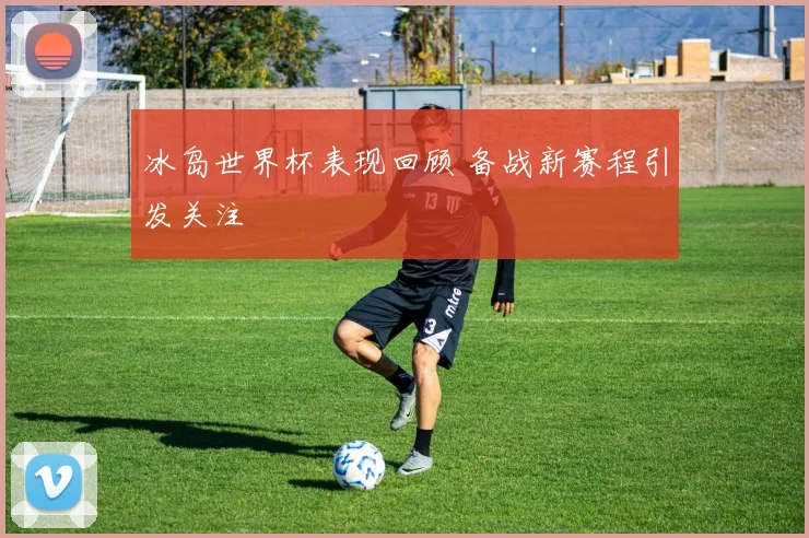 冰岛世界杯表现回顾 备战新赛程引发关注