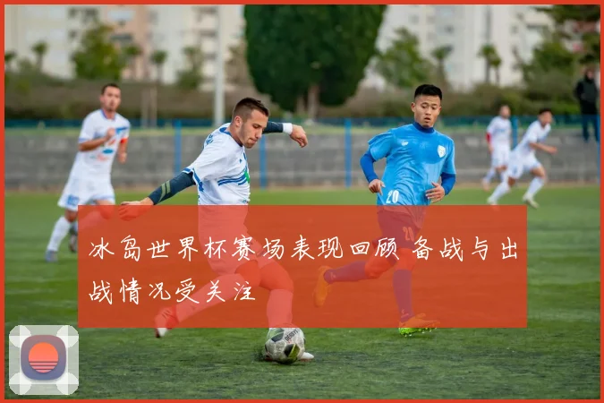 冰岛世界杯赛场表现回顾 备战与出战情况受关注