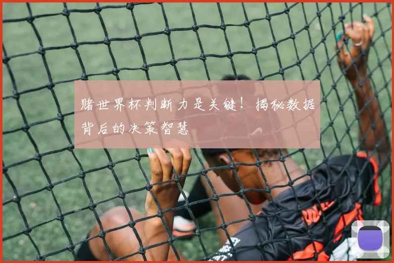 赌世界杯判断力是关键!揭秘数据背后的决策智慧